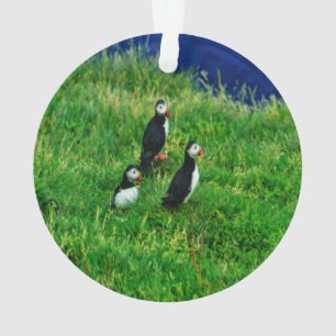 Puffins Ornament