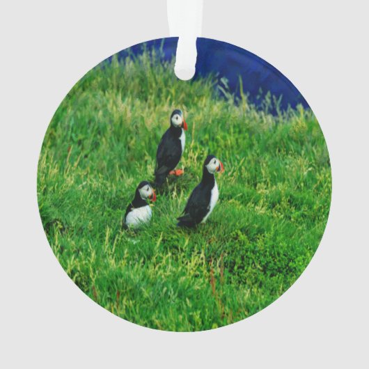 Puffins Ornament (achterkant)