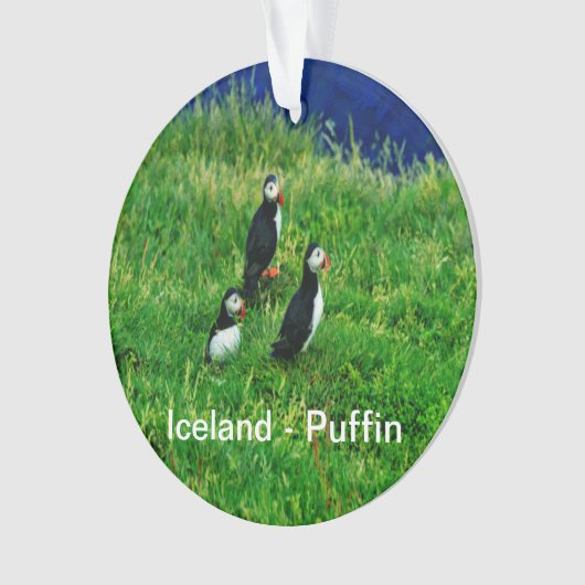 Puffins Ornament (voorkant)