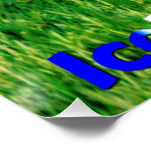 Puffins Perfect Poster (Hoek)