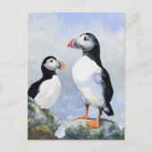 Puffins Post Card Briefkaart (Voorkant)