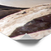 Puffins Poster (Hoek)