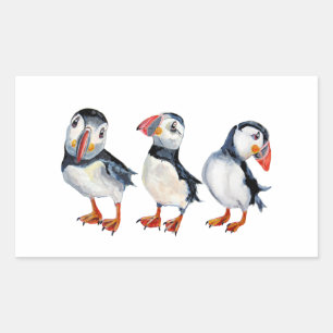 Puffins Rechthoekige Sticker