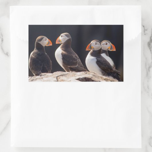 Puffins Rechthoekige Sticker (Tas)