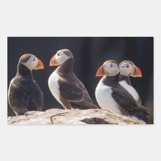 Puffins Rechthoekige Sticker (Voorkant)