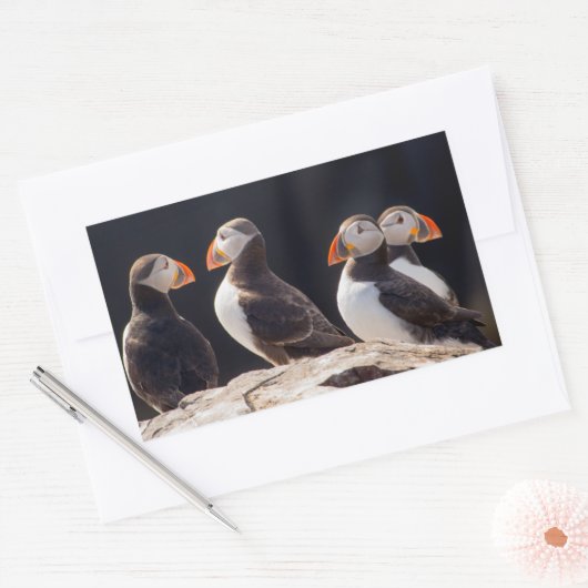 Puffins Rechthoekige Sticker (Envelop)