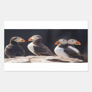 Puffins Rechthoekige Sticker