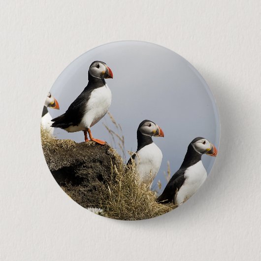Puffins Ronde Button 5,7 Cm (Voorkant)