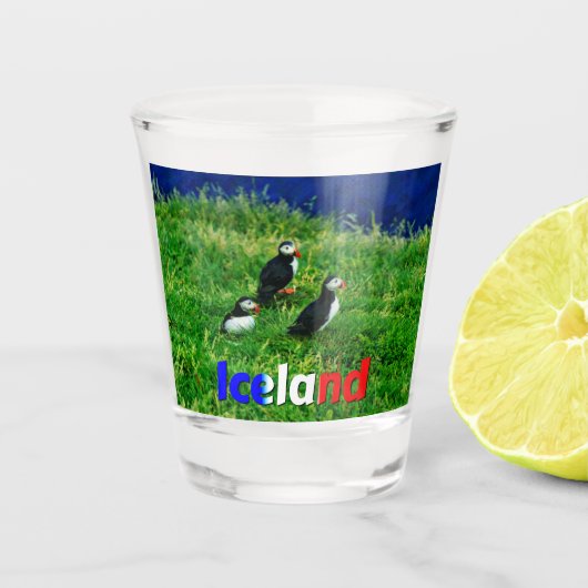 Puffins Shot Glas (Voorkant)