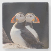 Puffins Stenen Onderzetter (Voorkant)