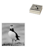 Puffinstempel Rubberstempel (Gestempeld)