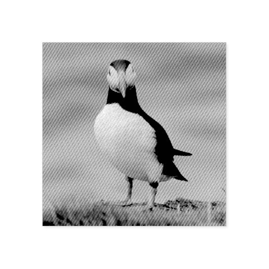 Puffinstempel Rubberstempel (Afrduk)