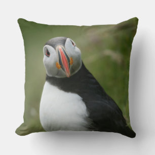 Puffinworp kussens