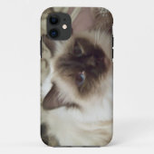 Puffo the cat I-Phone case (Achterkant)