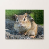 Puffy Cheeked Chipmunk Legpuzzel (Horizontaal)