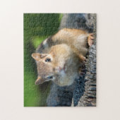 Puffy Cheeked Chipmunk Legpuzzel (Verticaal)