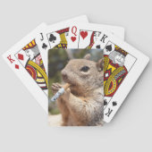 Puffy the Squirrel Speelkaarten (Achterkant)