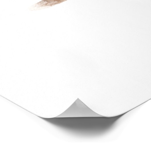 Puffy Wren Bird Print (Hoek)