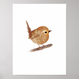 Puffy Wren Bird Print
