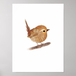 Puffy Wren Bird Print