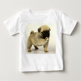 pug