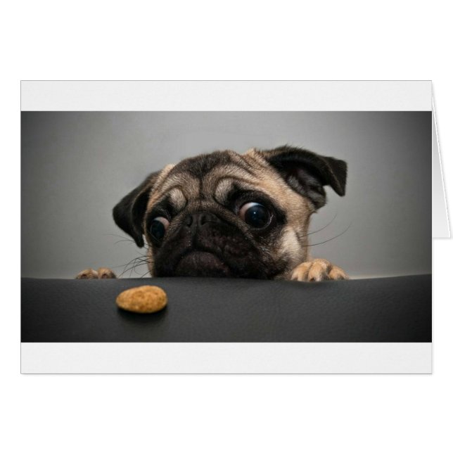 Pug (Voorkant Horizontaal)