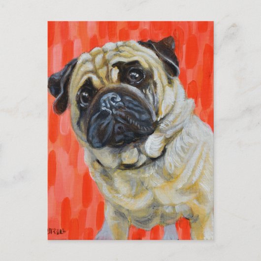 Pug 0range briefkaart (Voorkant)