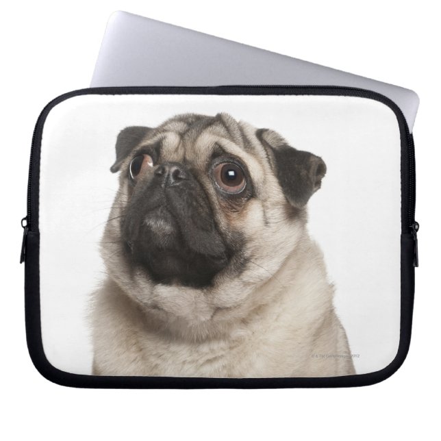 Pug (13 maanden oud) die omhoog kijkt laptop sleeve (Voorkant)