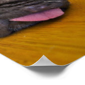 Pug 1 te veel Poster afdrukken (Hoek)