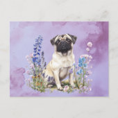 Pug 2 - Briefkaart (Voorkant)