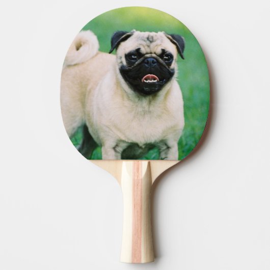 pug-30.jpg tafeltennisbatje (Voorkant)
