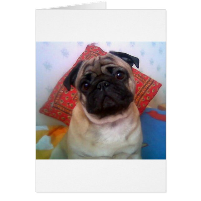 pug 4.png (Voorkant)