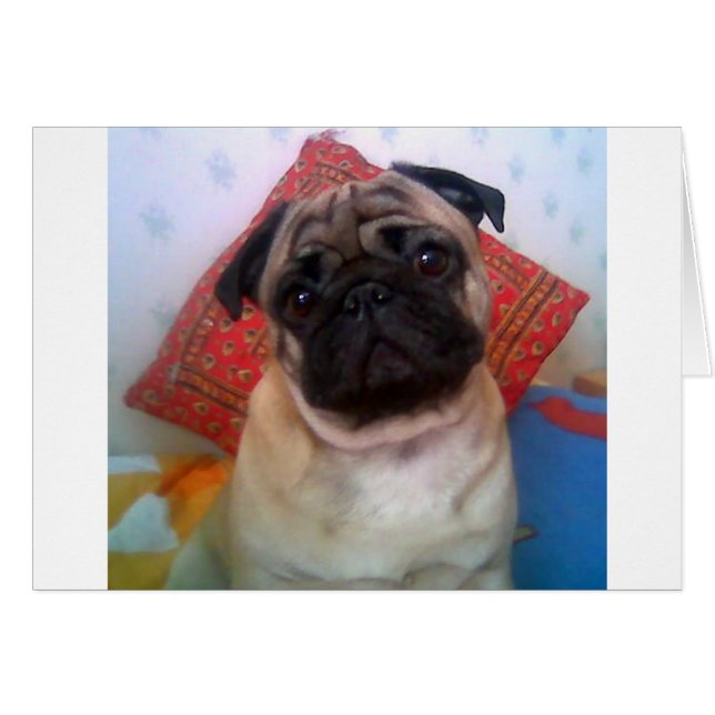 pug 4.png (Voorkant Horizontaal)