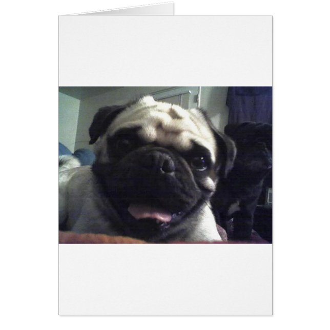 Pug 5.png (Voorkant)