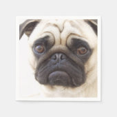 PUG-7 SERVET (Voorkant)