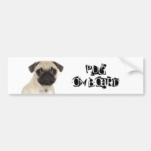 Pug aan boord bumpersticker (Voorkant)