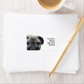 Pug adresetiketten etiket (Insitu)