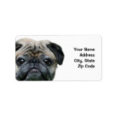 Pug adresetiketten etiket (Voorkant)