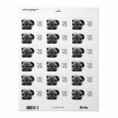 Pug adresetiketten etiket (Full Sheet)