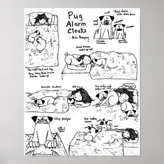 Pug Alarm Clocks Poster (Voorkant)