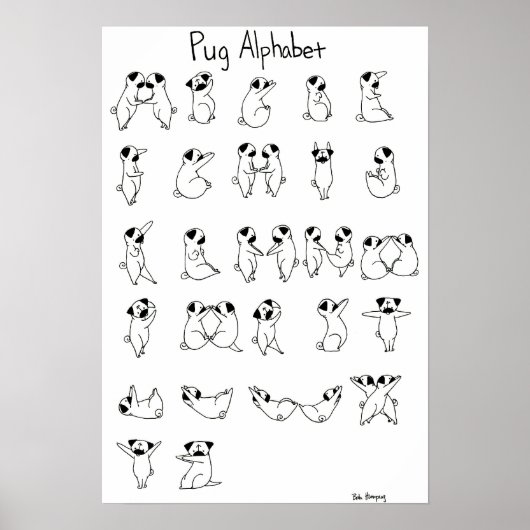 Pug Alphabet A-Z Poster (Voorkant)