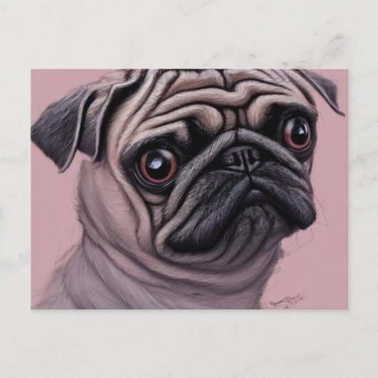 Pug Ansichtkaart Briefkaart (Voorkant)