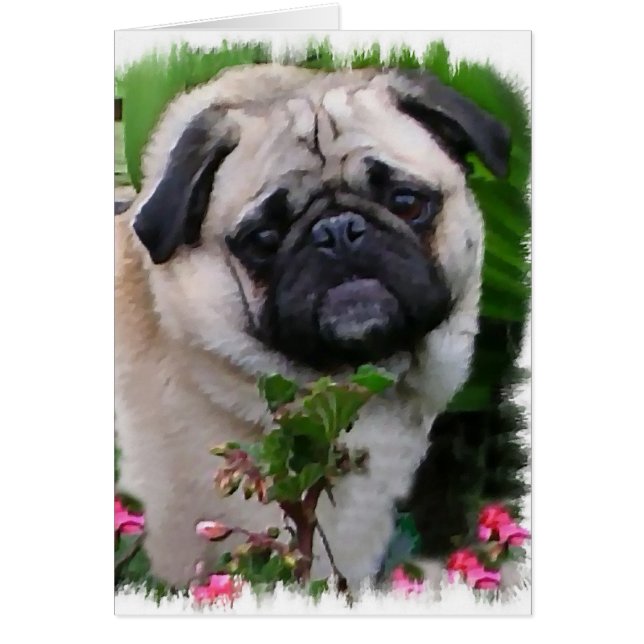 Pug Art Gifts (Voorkant)