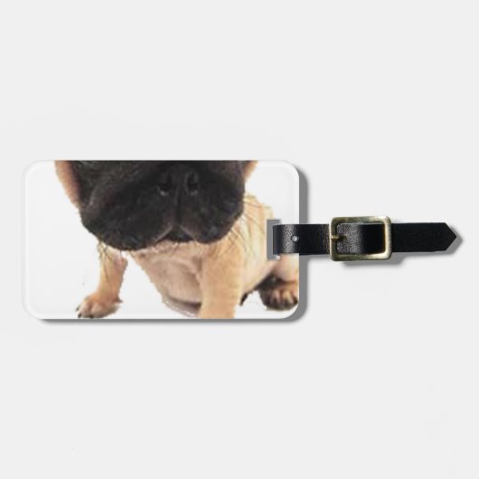 Pug Bagagelabel (Voorkant horizontaal)