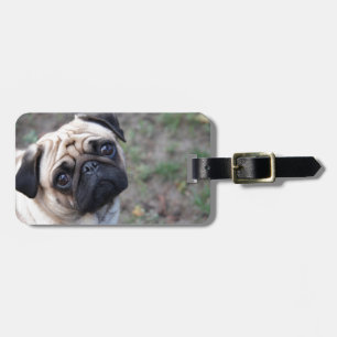 PUG BAGAGELABEL