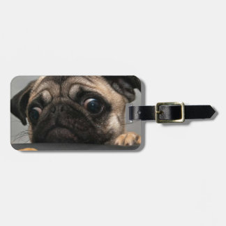Pug Bagagelabel