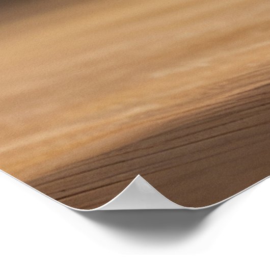 Pug Ballerina Poster (Hoek)