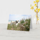 Pug Beachgrass Kaart (Gele Bloem)