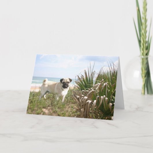 Pug Beachgrass Kaart (Voorkant)