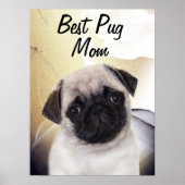 Pug Best Mama Poster (Voorkant)